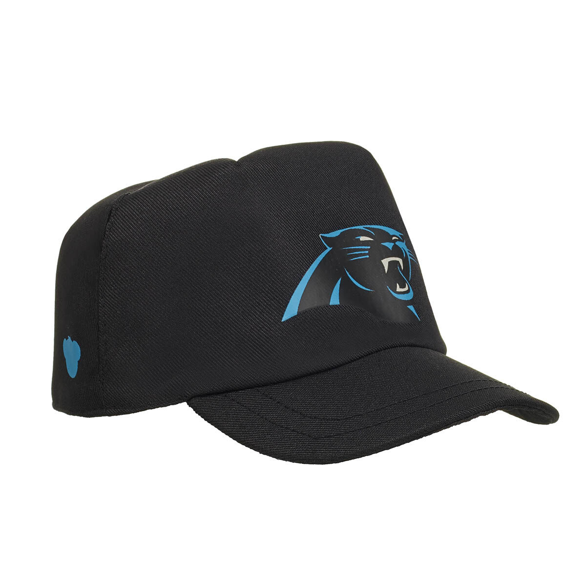 Carolina Panthers Fan Hat