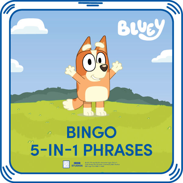 Bingo 5-In-1 Phrases