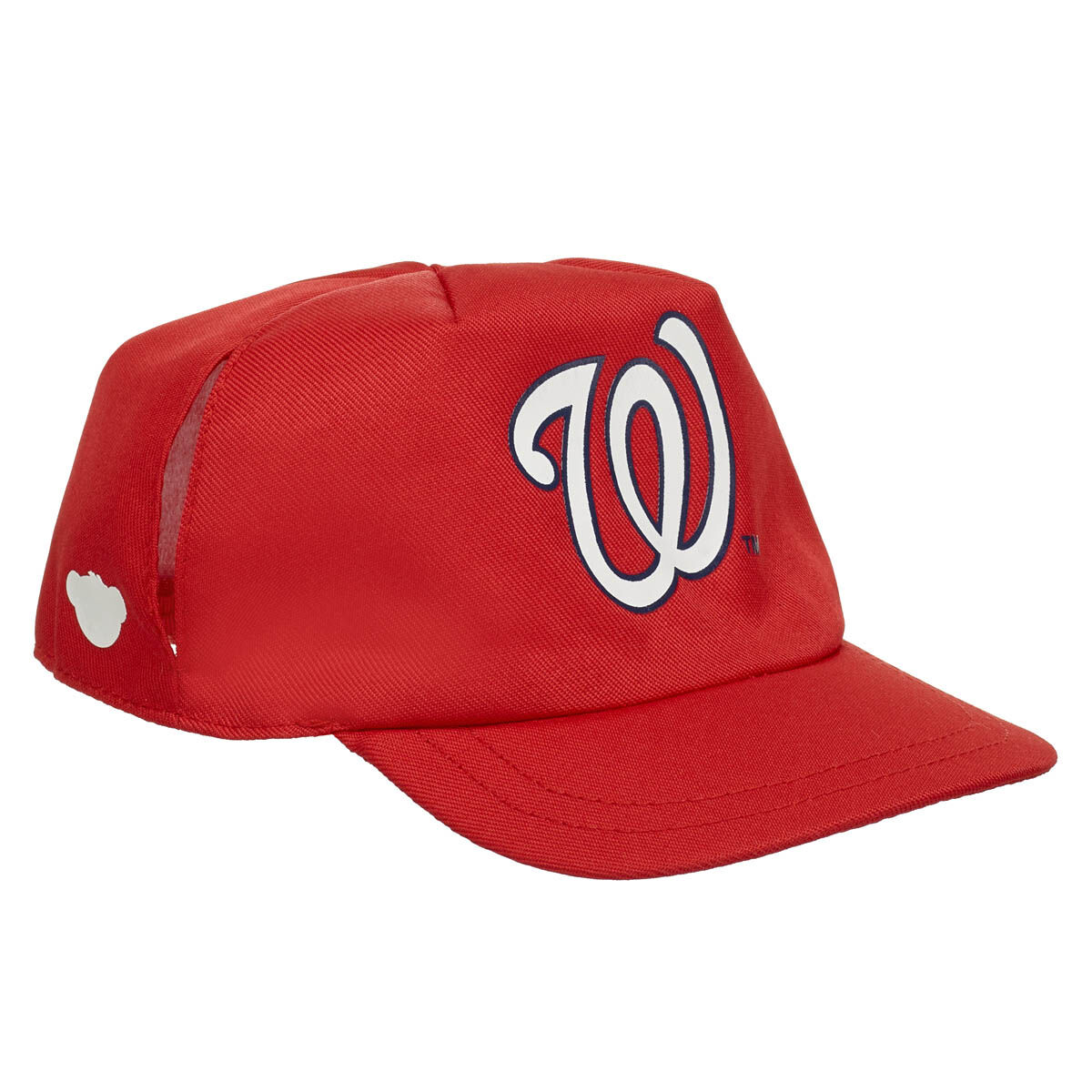 Washington Nationals Hat