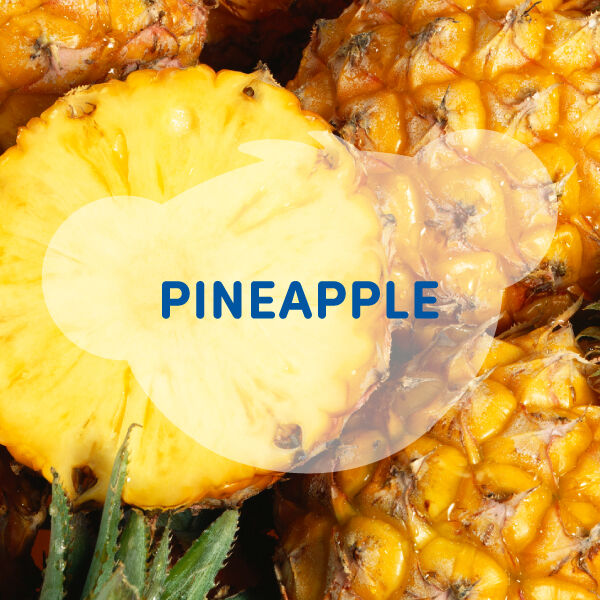 Scentiments Fresh Pineapple Scent