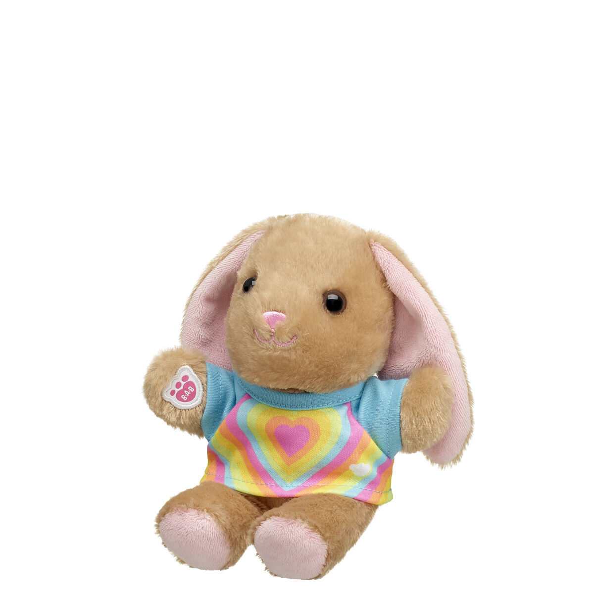 Build-A-Bear Mini Beans Pawlette Plush Rainbow Heart Gift Set