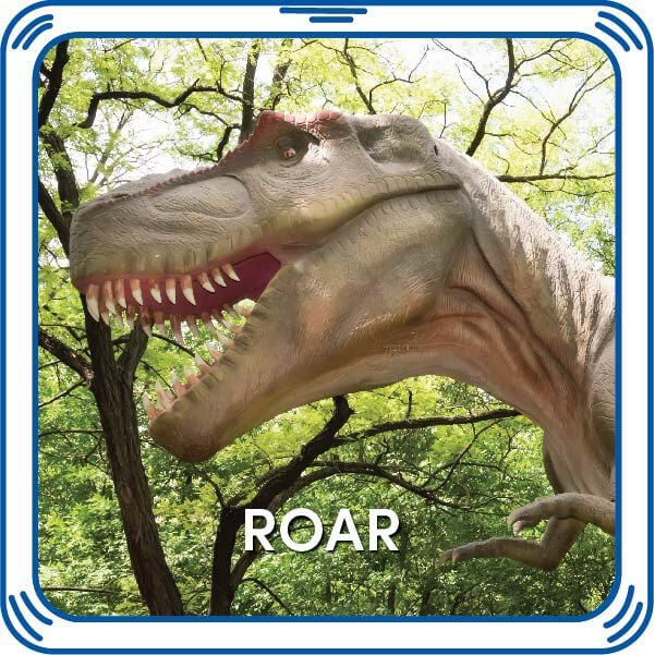 Roar 5-In-1 Sound