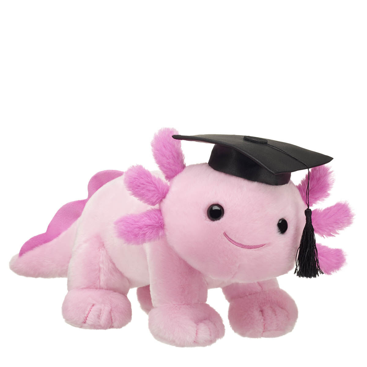 Pink Axolotl Stuffed Animal Graduation Gift Set